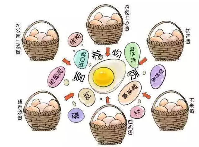 遍尋菜譜收集的雞蛋7中新吃法，第2中最好，第7中最營養(yǎng)